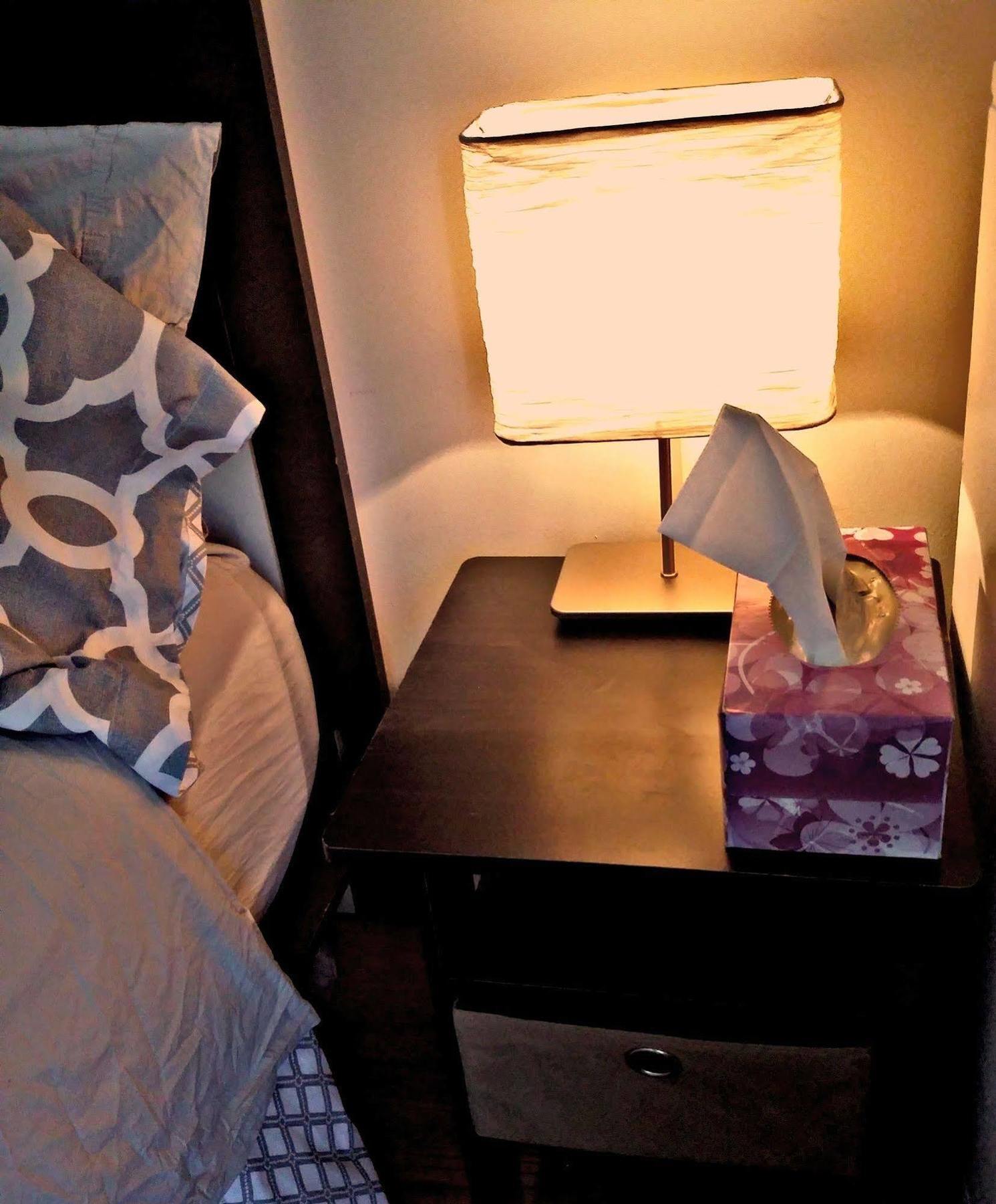 Jfk Bed And Breakfast Guesthouse New York Kültér fotó